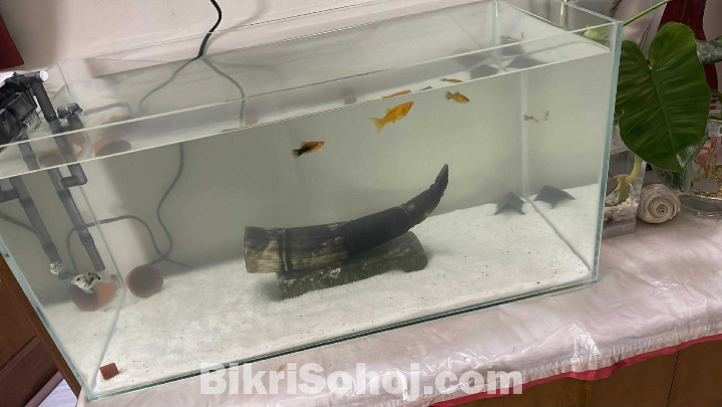 Big size crystal aquarium